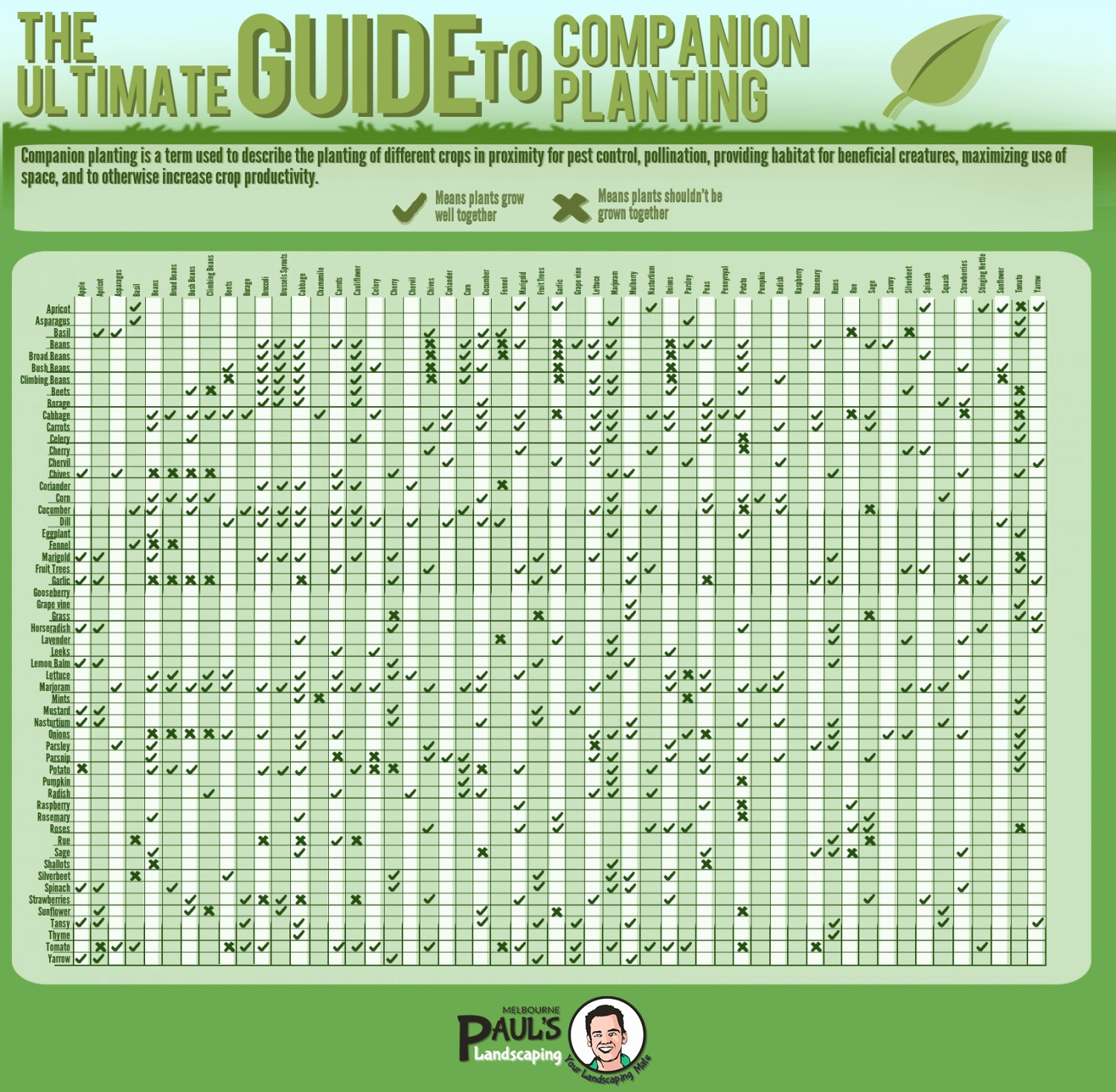 Companion Planting Chart for Vegetables Inspirational the Ultimate Guide to Panion Planting