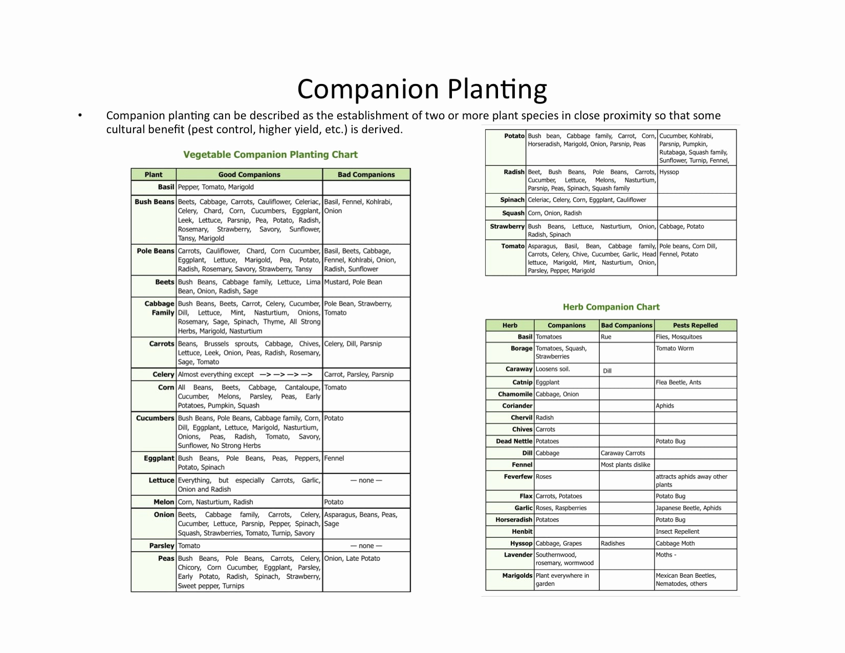 Companion Planting Chart for Vegetables New 5 Tips to Prepare Your Garden for Success Garden Lovin