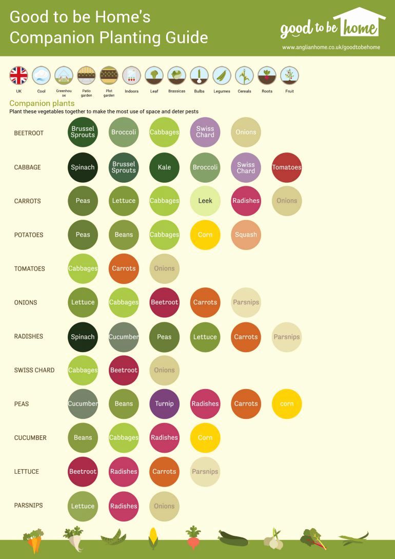Companion Planting Chart for Vegetables Unique Your Personalised Ve Able Growing Cheat Sheet