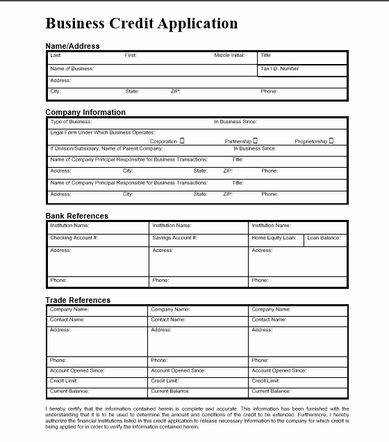 Credit Application form Pdf Lovely 5 Professional Business Credit Application Template Word