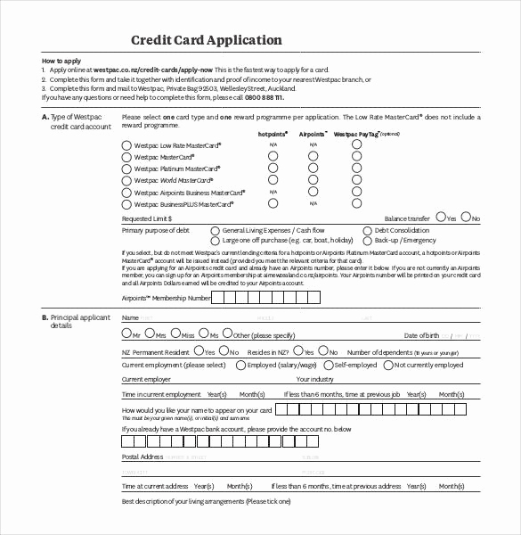Credit Application form Pdf Lovely Credit Application Template 33 Examples In Pdf Word