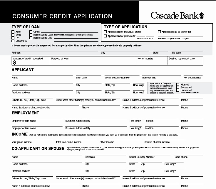 Credit Application form Pdf New 5 Professional Business Credit Application Template Word