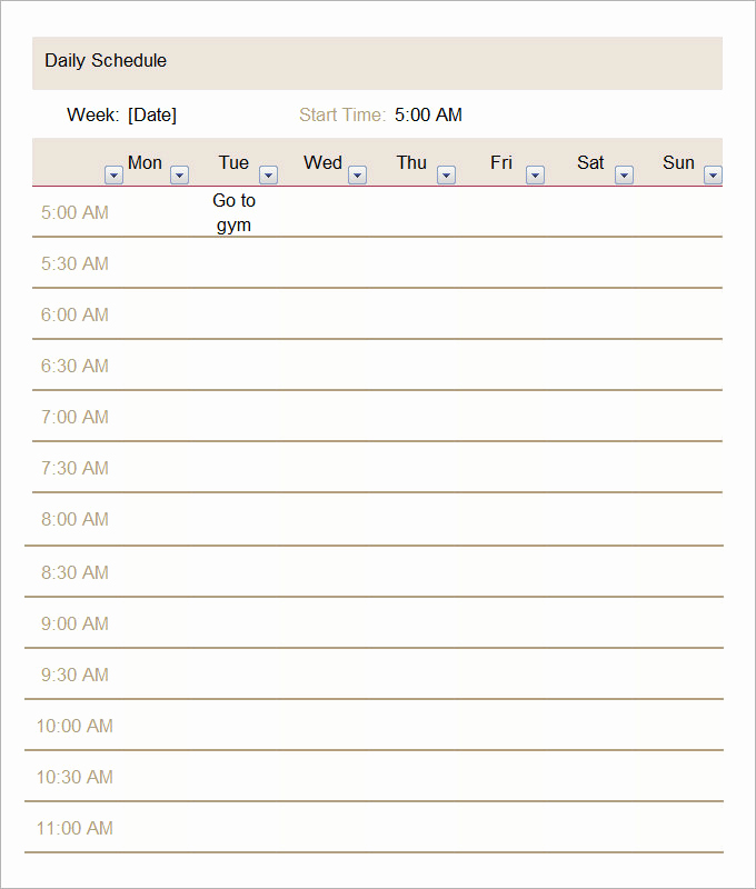 Daily Schedule Template Pdf Inspirational Daily Schedule Template 5 Free Word Excel Pdf
