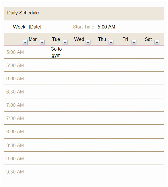 Daily Schedule Template Word Beautiful Daily Schedule Template 37 Free Word Excel Pdf