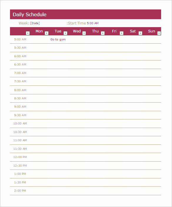 Daily Schedule Template Word Lovely Schedule Template – 39 Free Word Excel Pdf format