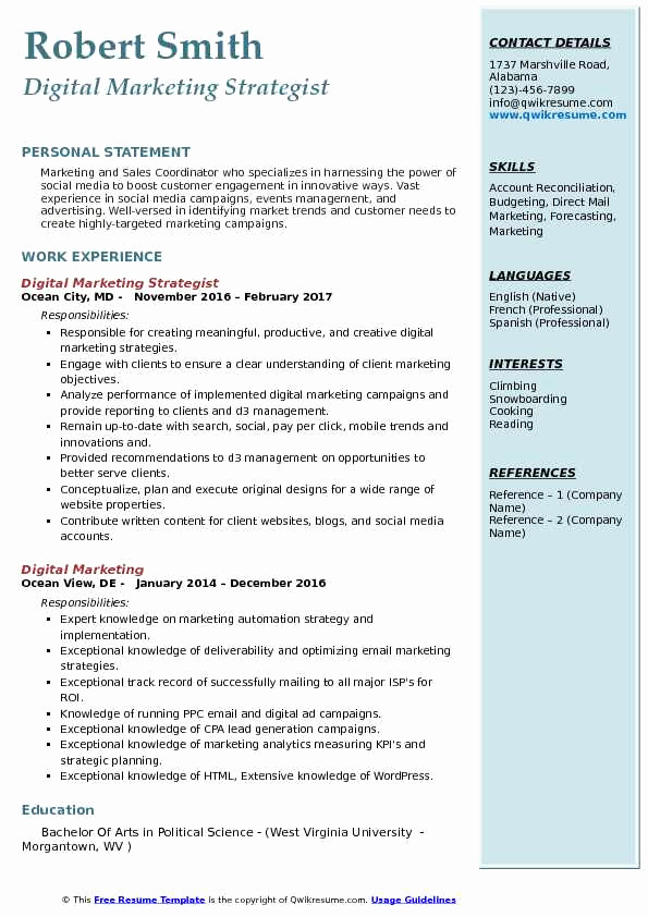 Digital Marketing Resume Sample New Digital Strategy Resume Seven Important Facts that You