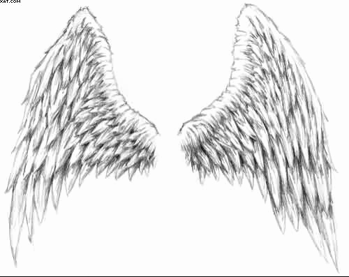 Drawings Of Angels Wings Fresh Pencil Drawings Angel Wings Drawings In Pencil