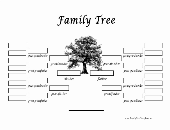 Editable Family Tree Template Unique Free Editable Family Tree Template
