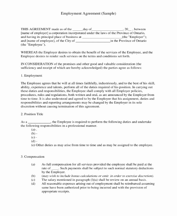 Employment Contract Template Word New 8 Pensation Agreement Templates Pdf Word