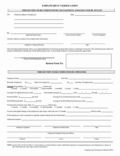 employmetn verification form pdf template