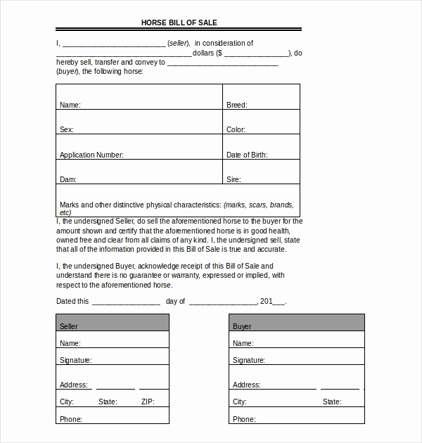 horse bill of sale form