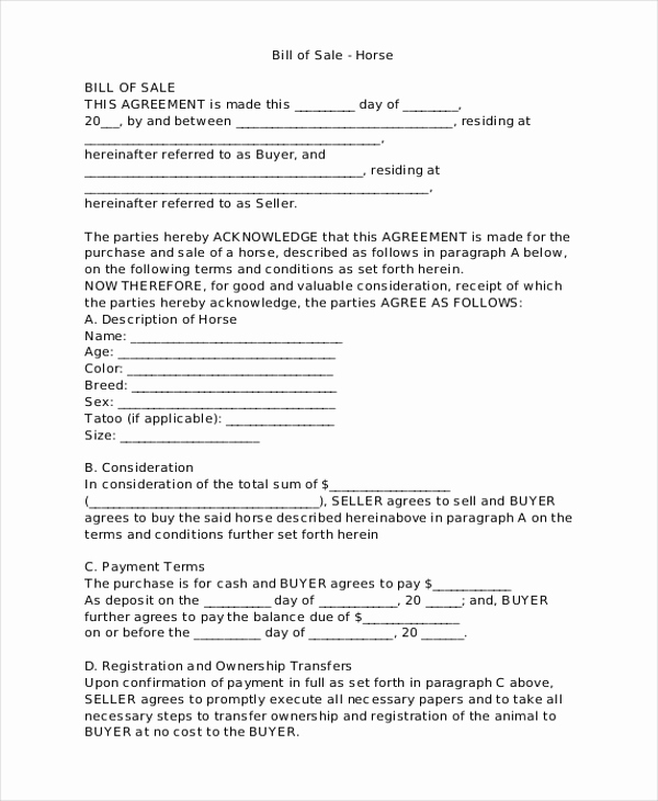 Equine Bill Of Sale Luxury Sample Bill Of Sale forms 22 Free Documents In Word Pdf