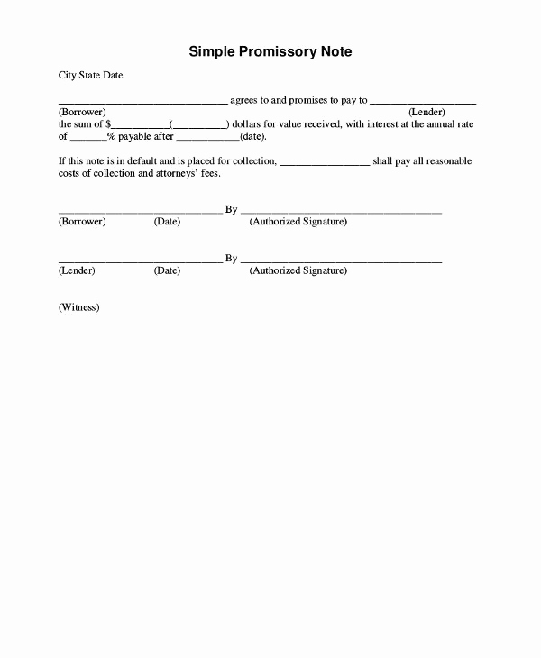 Example Of Promissory Note Elegant 14 Promissory Note Examples Pdf Word Apple Pages