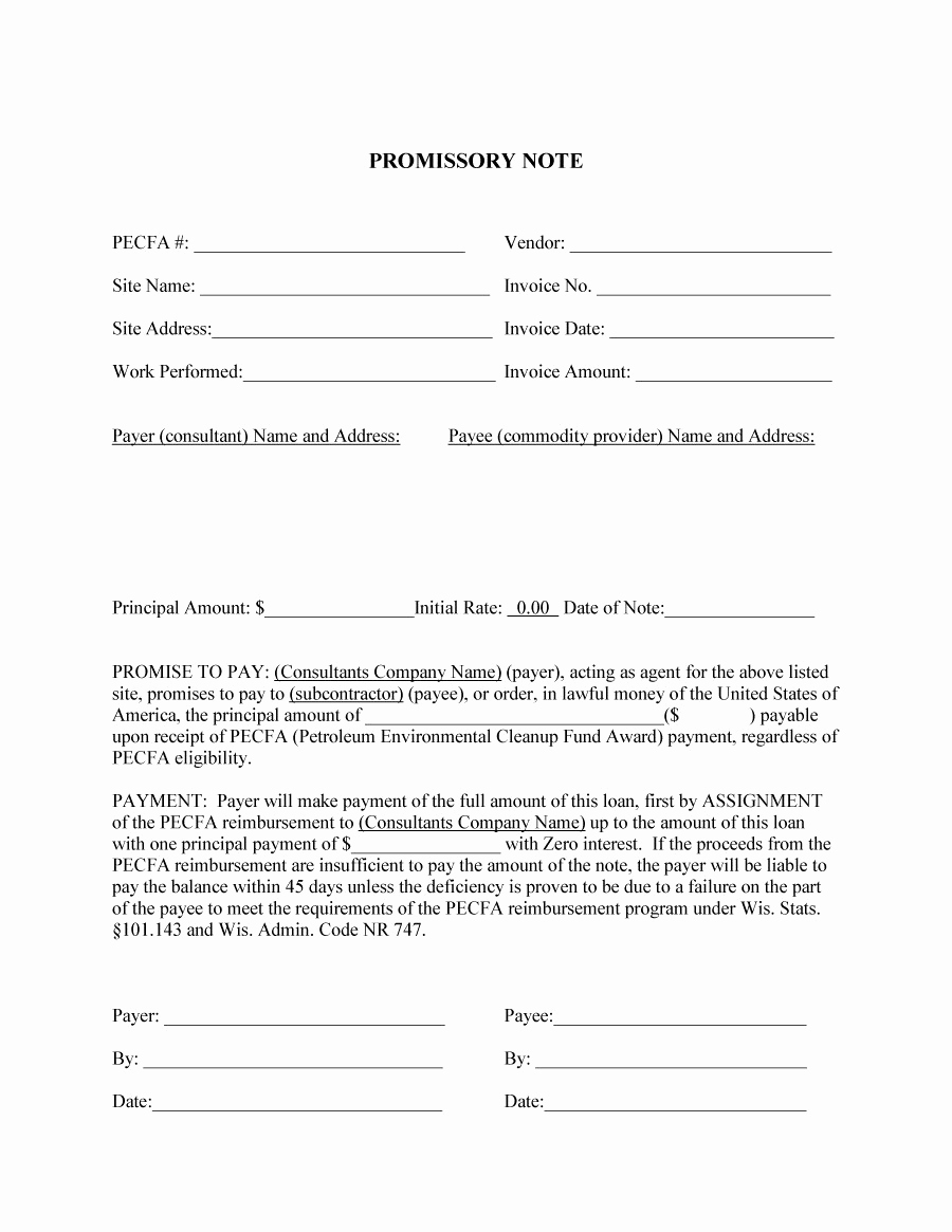 Example Of Promissory Note Elegant 45 Free Promissory Note Templates &amp; forms [word &amp; Pdf]