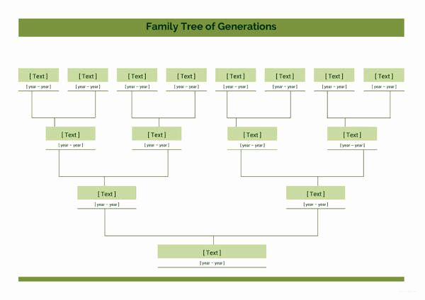 Excel Family Tree Template Unique Simple Family Tree Template 27 Free Word Excel Pdf