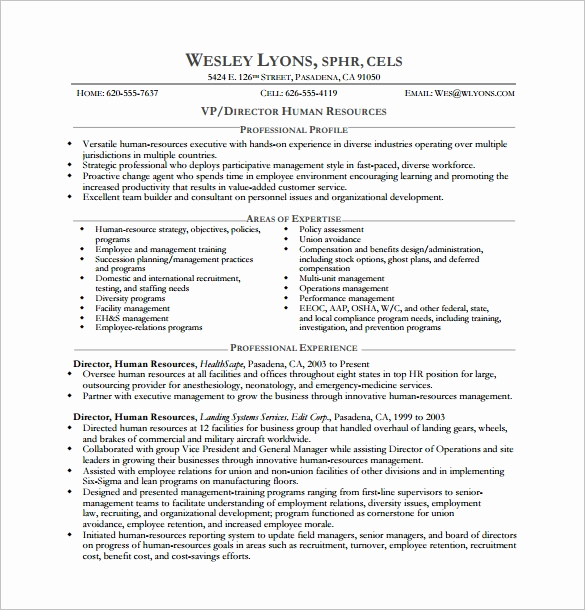 Executive Resume Template Word New Executive Resume Template 14 Free Word Excel Pdf