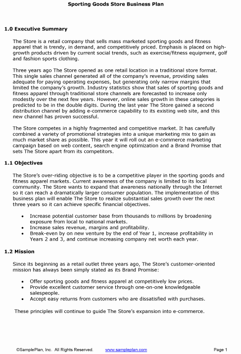 Executive Summary Example Business Plan Lovely 5 Executive Summary Templates Excel Pdf formats
