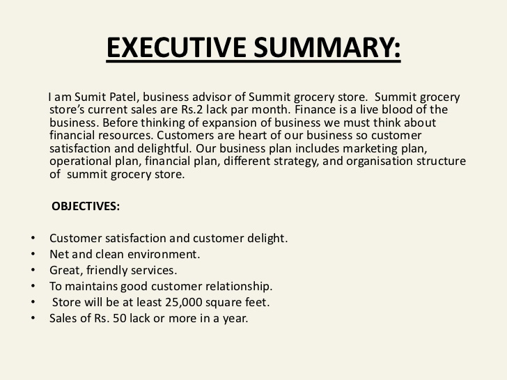 Executive Summary Example Business Plan Lovely A Project On Business Plan