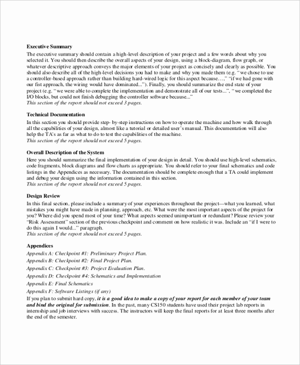 Executive Summary Template Word Unique 8 Project Summary Templates Free Word Pdf Document