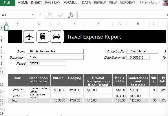 travel expense report template for excel