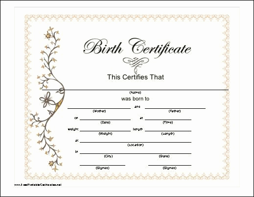 Fake Birth Certificate Maker New Blank Birth Certificate