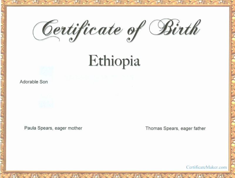 Fake Birth Certificate Maker Unique Fake Birth Certificate Template