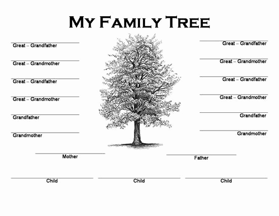 Family Tree Maker Free Online Inspirational Image Result for Family Tree Maker Free Printable