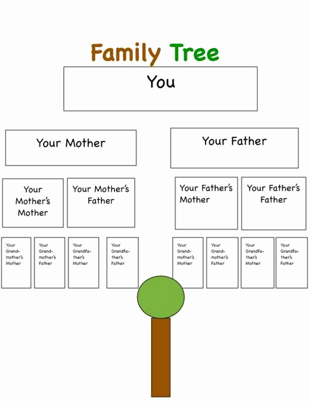 Family Tree Template Google Docs Lovely Italian Family Tree Vocabulary Google Search