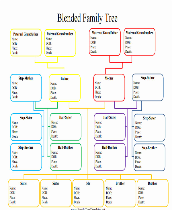 Family Tree Template with Siblings Best Of 9 Family Tree Template with Siblings Pdf Doc
