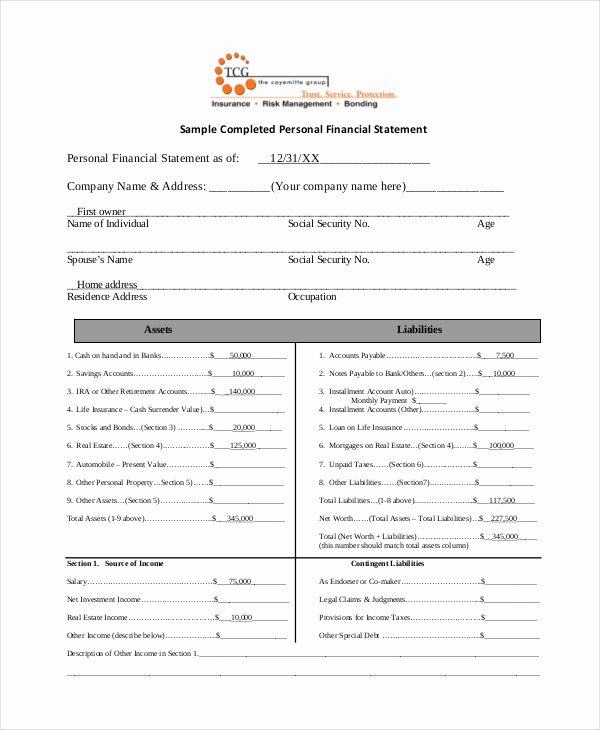 Fillable Personal Financial Statement Beautiful Personal Financial Statement form 7 Free Pdf Word