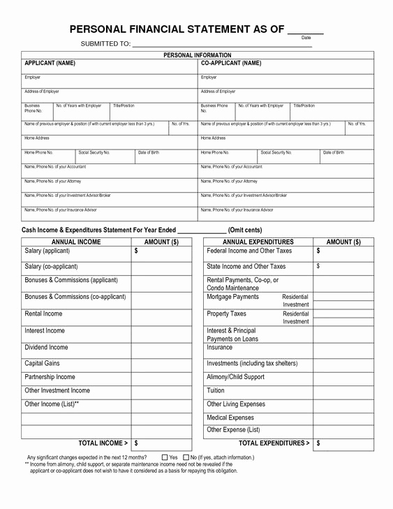 Fillable Personal Financial Statement Best Of Free Printable Personal Financial Statement