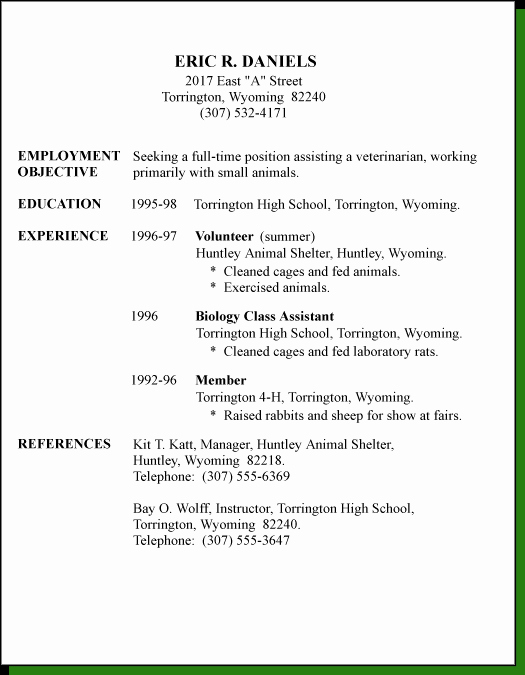 First Time Job Resume Luxury First Resume