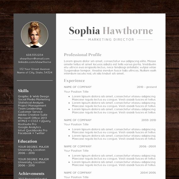 Free Creative Resume Templates Word New Professional Resume Template with Modern Cv Word