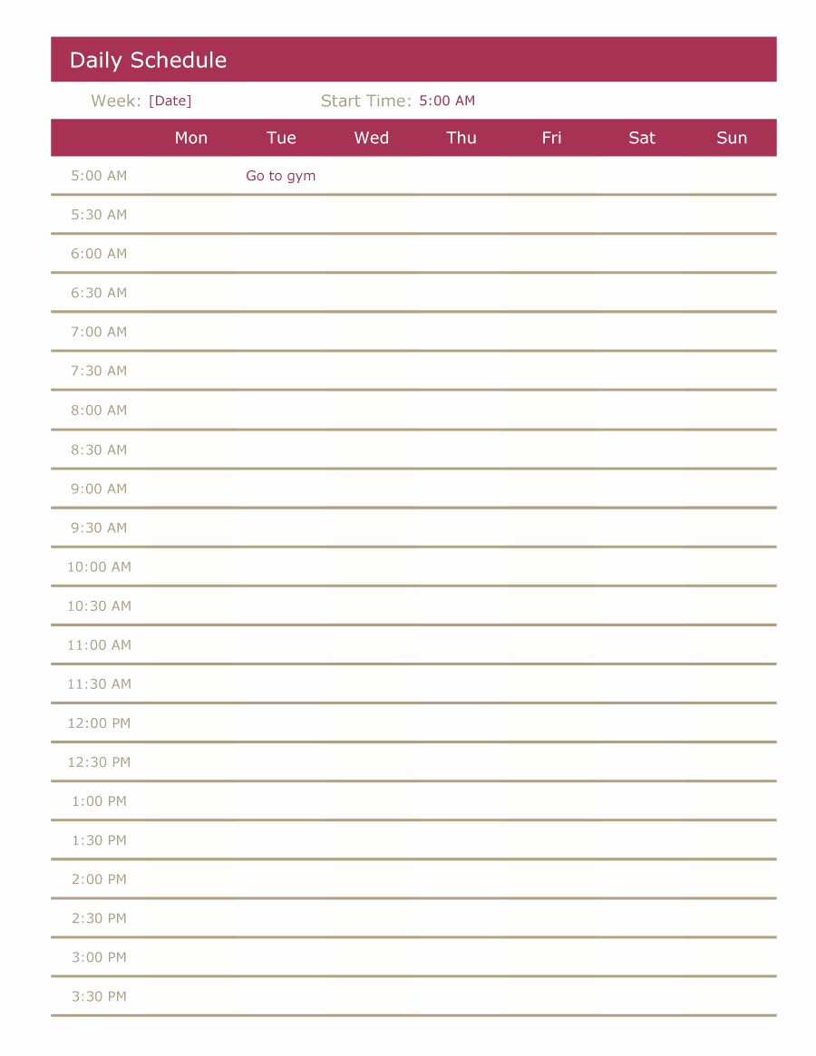 Free Daily Planner Printables New 40 Printable Daily Planner Templates Free Template Lab