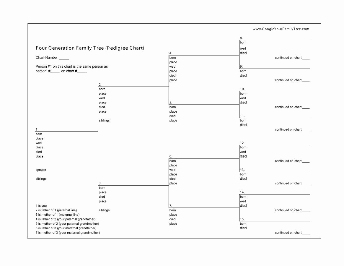 Free Family Tree Template Excel Awesome 50 Free Family Tree Templates Word Excel Pdf