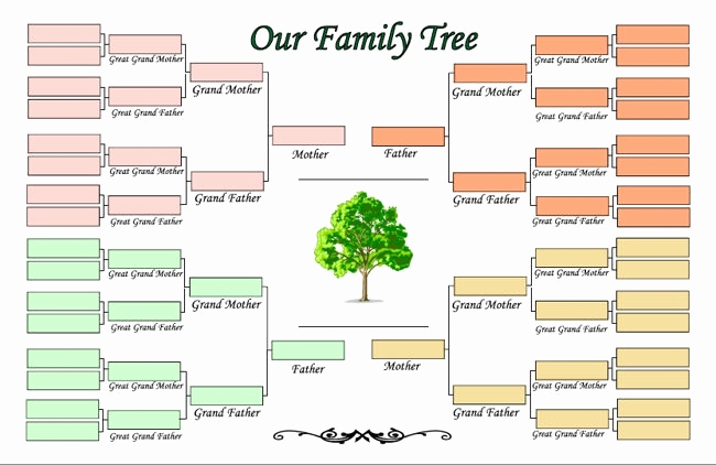 Free Family Tree Template Word Luxury Family Tree Maker Templates Beepmunk