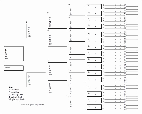 Free Family Tree Templates Lovely Blank Family Tree Template 31 Free Word Pdf Documents