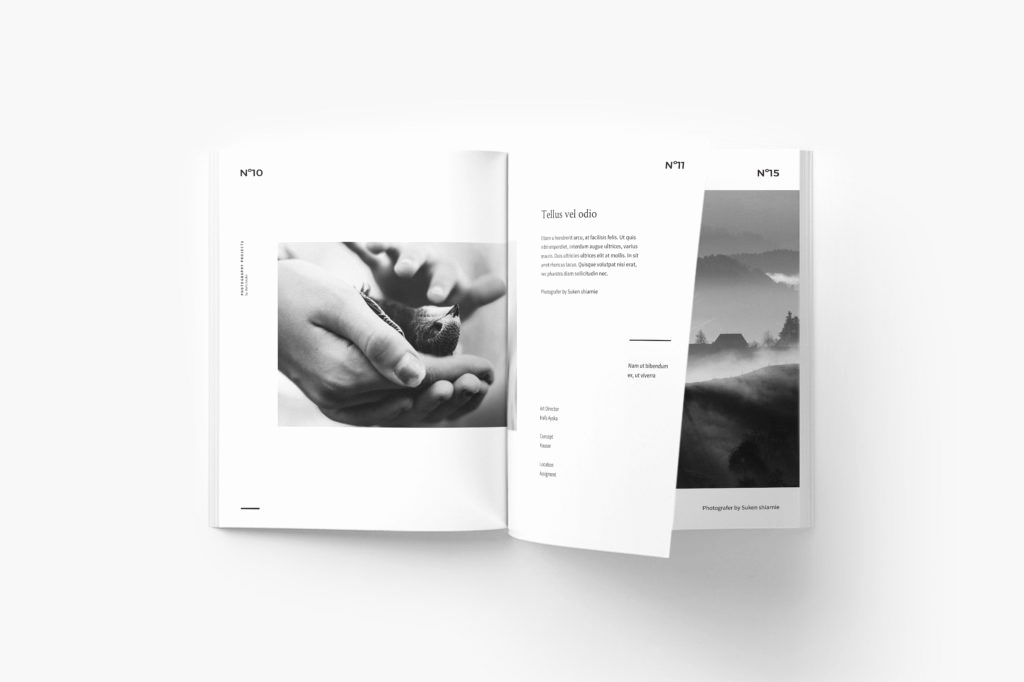 Free Indesign Portfolio Templates Awesome 65 Fresh Indesign Templates and where to Find More Redokun