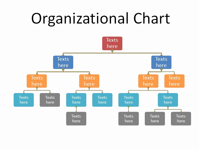 Free organizational Chart Template New 40 organizational Chart Templates Word Excel Powerpoint