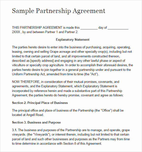 Free Partnership Agreement form Luxury 8 Sample Partnership Agreements