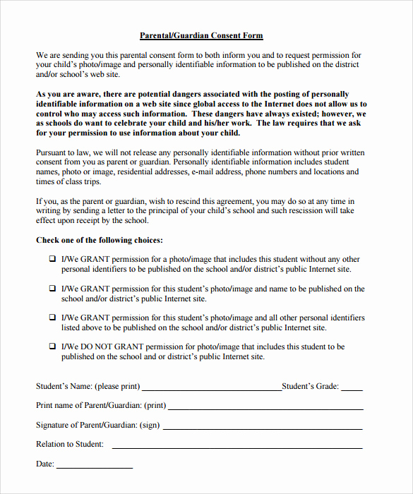 Free Printable Child Guardianship forms Best Of Sample Legal Guardianship form 7 Download Documents In