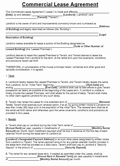 Free Printable Commercial Lease Agreement Lovely 13 Free Sample Fice Sublease Agreement Templates