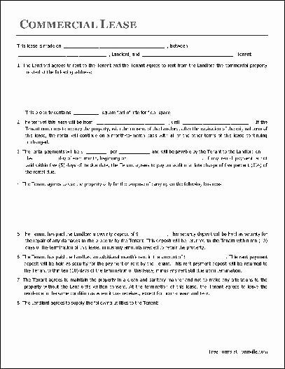 Free Printable Commercial Lease Agreement Unique Printable Sample Free Lease Agreement Template form