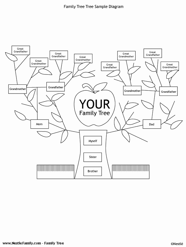 Free Printable Family Tree Best Of Free Printable Tree Template Coloring Home