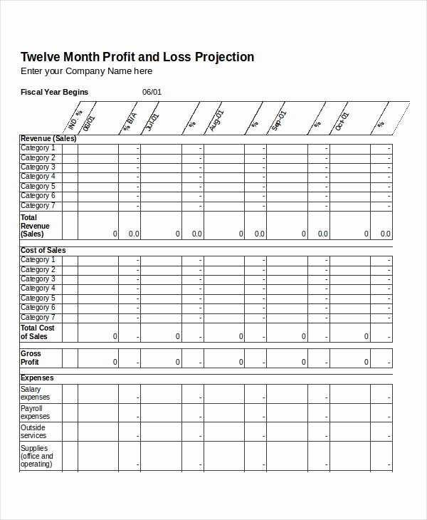 Free Profit and Loss Template Lovely 12 Profit and Loss Templates In Excel