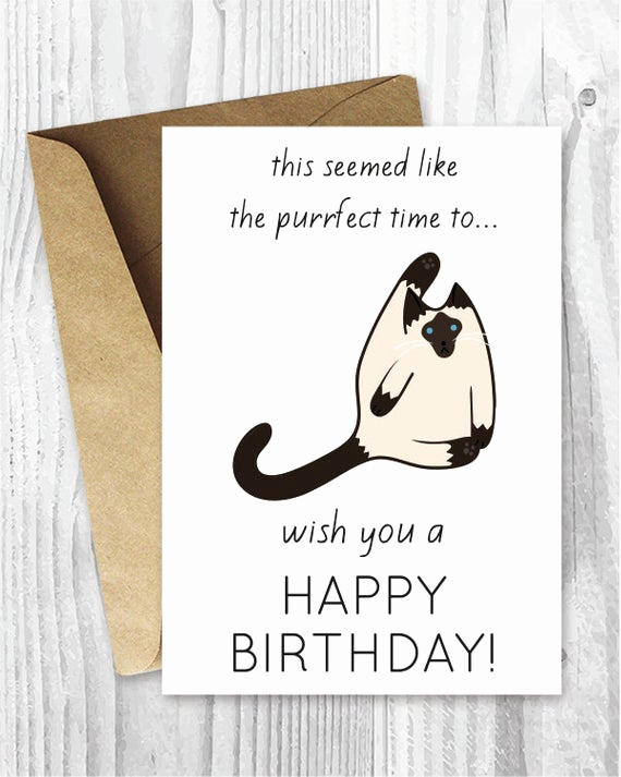 Funny Printable Birthday Cards Beautiful Funny Birthday Cards Printables Funny Siamese Cat Birthday