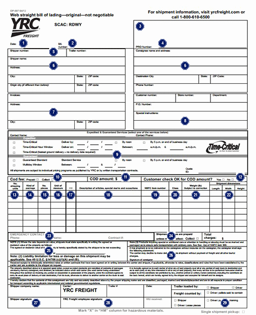Generic Bill Of Lading Luxury Printable Sample Bill Lading form form