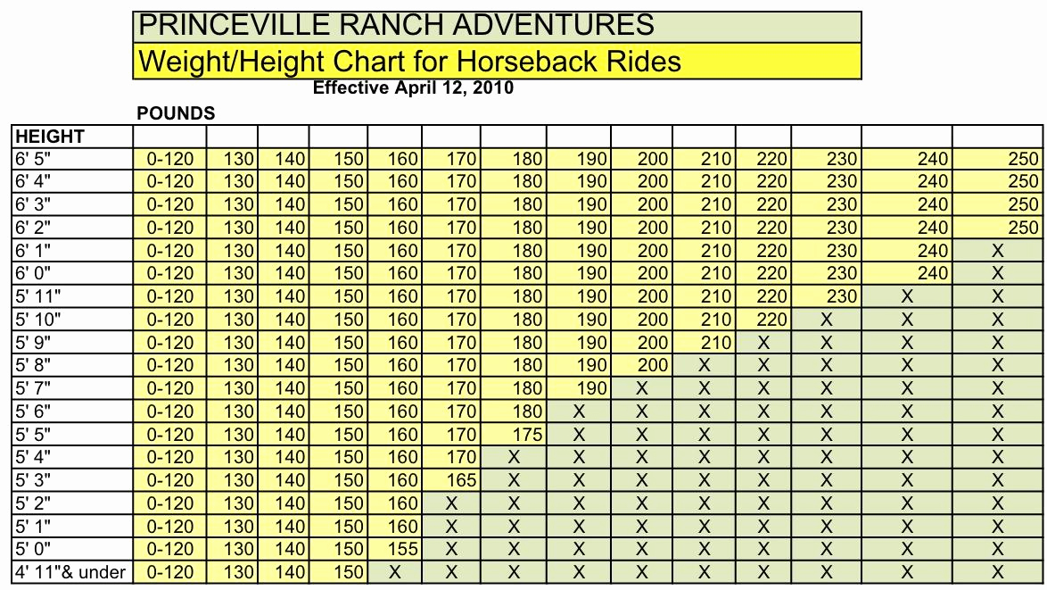 Height to Weight Ration Chart Inspirational Private Guide Horseback Adventure with Princeville Ranch
