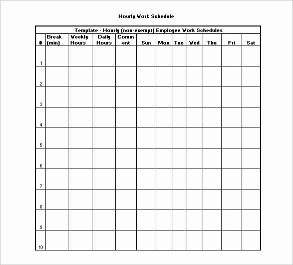 Hourly Schedule Template Excel Awesome Hourly Schedule Template 10 Free Sample Example format