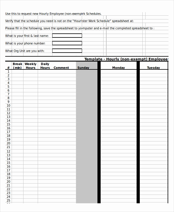 Hourly Schedule Template Excel Best Of Excel Schedule Template 11 Free Pdf Word Download